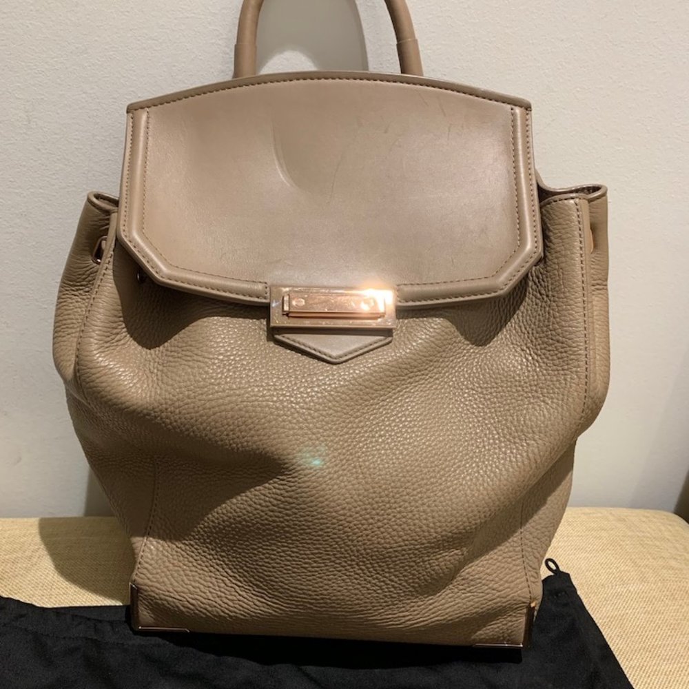 Alexander Wang | Bags | Alexander Wang Prisma Skeletal Backpack | Poshmark